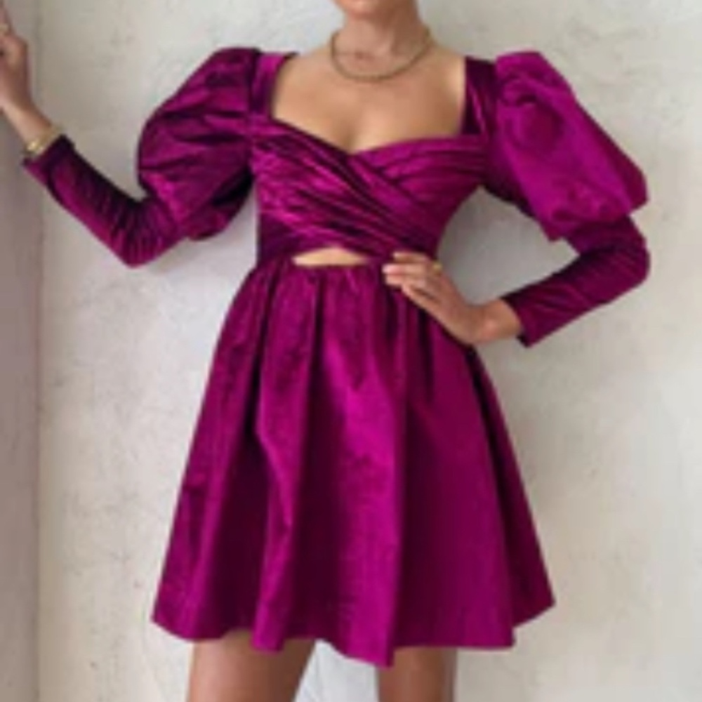 Alemais Rosario Mini Puff Sleeve Dress in Fushia - 2